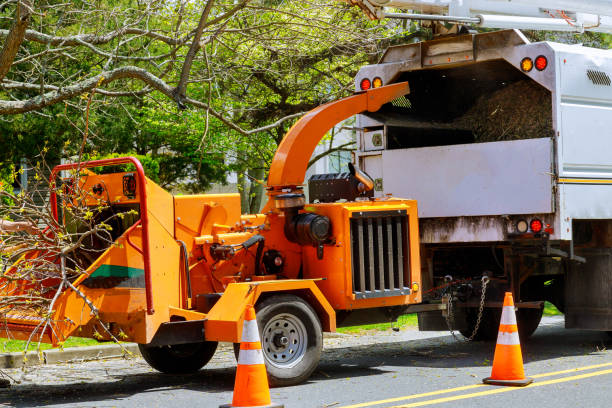 Soil Testing and Treatment in Shady Side, MD